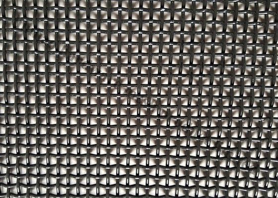 Black Epoxy Coated Stainless Steel Window Screen Mesh SS 304 Mosquito Net 6-18mesh