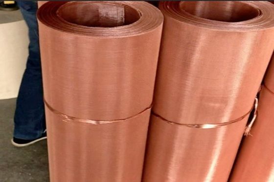 High Strength And Toughness Woven Wire Mesh Screen Phosphor Bronze