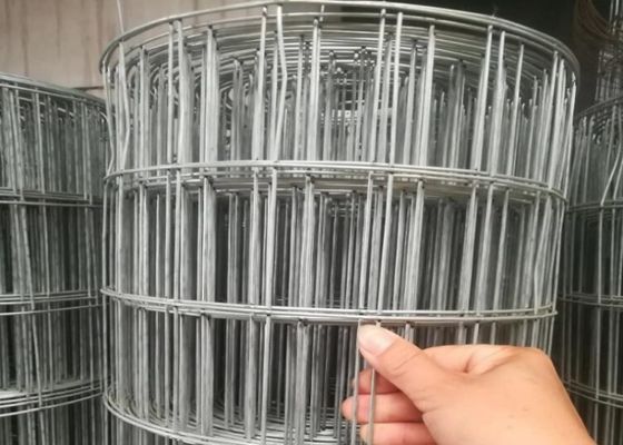 304 Stainless Steel Welded Wire Mesh Roll with 1/2''*1'' Hole Size 1m Width and 10m Length for Industrial Applications