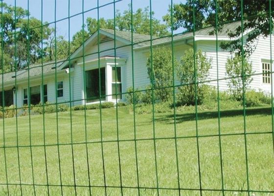Green PVC Coated Welded Wire Mesh Rolls with 0.35mm-6mm Wire Diameter and 1/2''*1'' Hole Size for Fencing