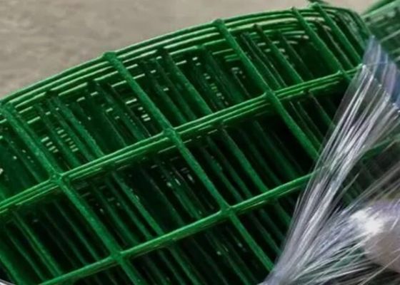 Green PVC Coated Welded Wire Mesh Rolls with 0.35mm-6mm Wire Diameter and 1/2''*1'' Hole Size for Fencing
