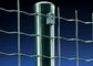 SGS Pvc Coated Holland Wire Mesh Fence Welded Mesh Rolls For Yard Weather Proof