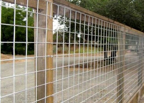 Hot Dipped Galvanized Welded Wire Mesh In Agriculture And Animal Husbandry