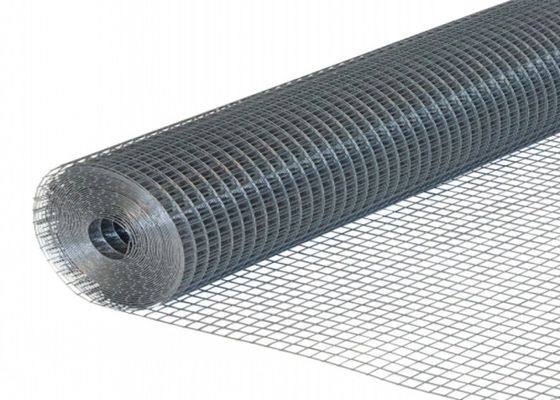 Oem Galvanized White Welded Mesh Rolls 25.4mm X 25.4mm