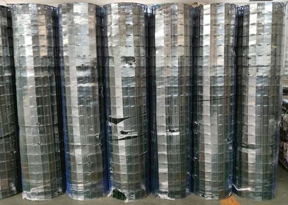 Reliable 20m Welded Mesh Rolls Straight Edge