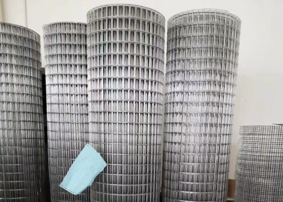 Tensile Strength 380mpa 16 Gauge Wire Mesh Roll High Durability