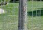 Durable 30m Welded Wire Fence Roll Support For Plants