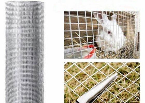 15m 20m 30m Stainless Steel Welded Wire Mesh Used As Poultry Cages Or Fence