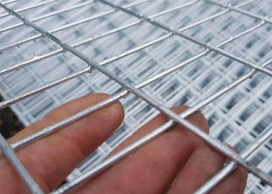 Stainless Steel Welded Wire Mesh For Agricultural Applications