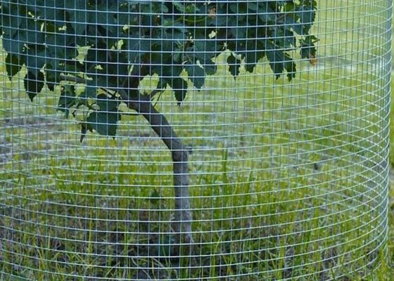 Stainless Steel Welded Wire Mesh For Agricultural Applications