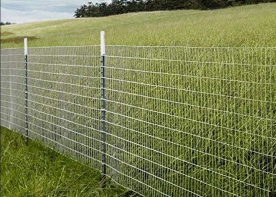 Stainless Steel Welded Wire Mesh For Agricultural Applications
