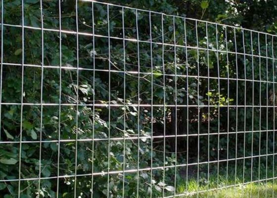 Stainless Steel Welded Wire Mesh For Agricultural Applications