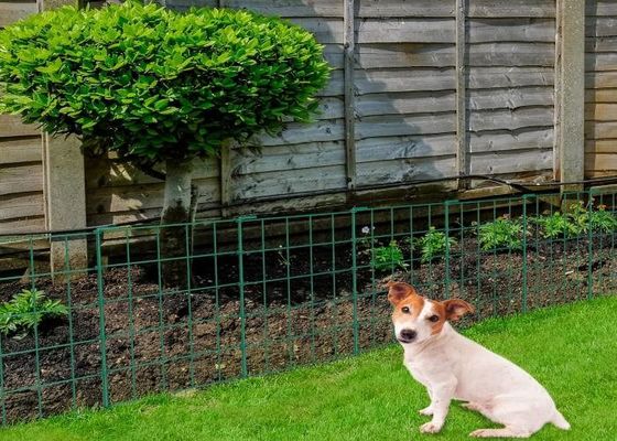 Green Galvanized Welded Wire Mesh For Home Security And Construction