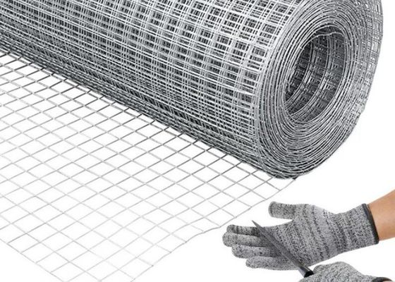 Galvanized Welded Wire Mesh With Protective Plastic Paint