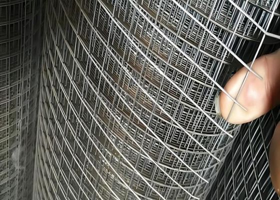 Galvanized Welded Wire Mesh With Protective Plastic Paint