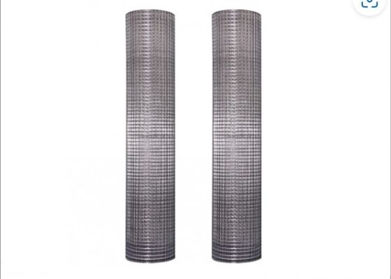 Galvanized Welded Wire Mesh With Protective Plastic Paint