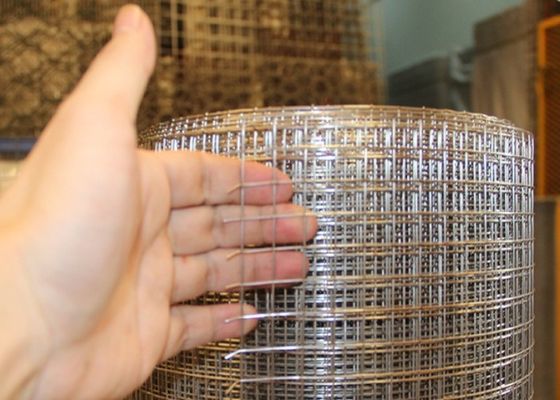 Galvanized Welded Wire Mesh With Protective Plastic Paint