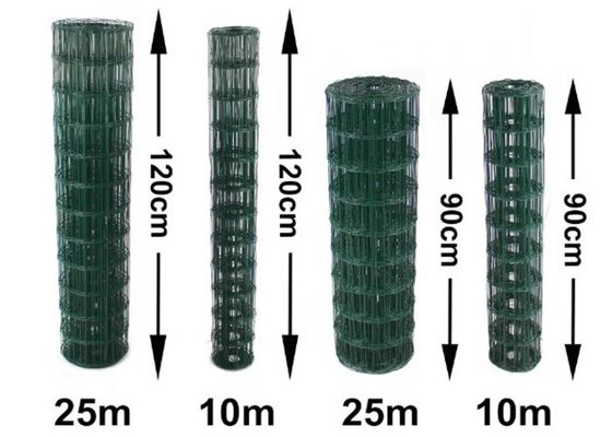 Corrosion Resistant PVC Coated Welded Wire Mesh with 0.5mm-6.0mm Wire Diameter
