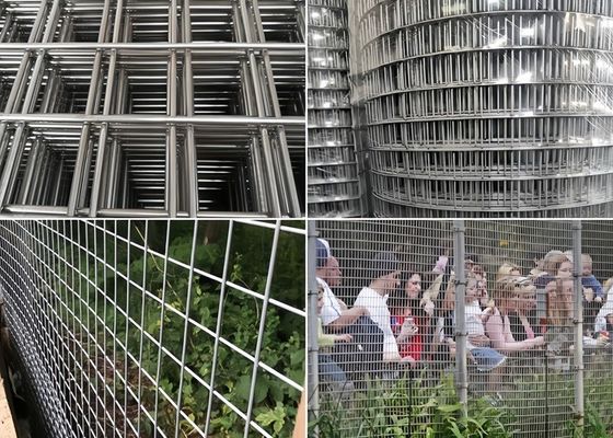 High Corrosion Resistant Welded Mesh Rolls Durable Various Colors