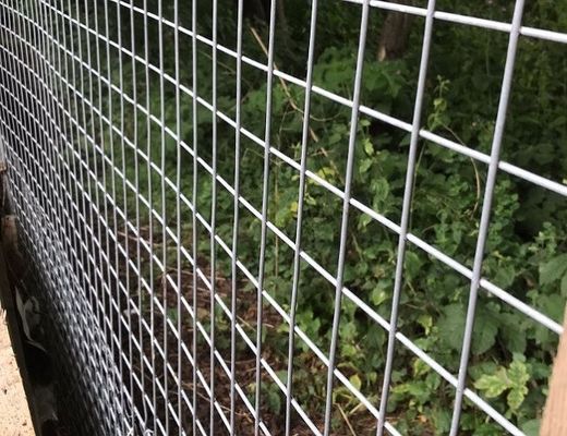 Durable Hot Dipped Galvanized Welded Mesh Rolls For Animal Cages