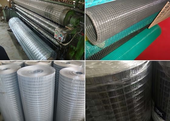 Durable Hot Dipped Galvanized Welded Mesh Rolls For Animal Cages