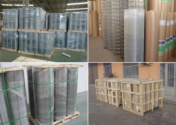 Durable Hot Dipped Galvanized Welded Mesh Rolls For Animal Cages