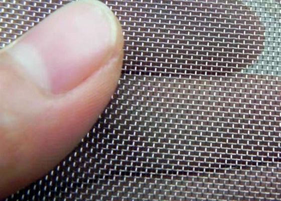 50 Micron Regular Wire Size Filter Wire Mesh in 30m Length for Versatile