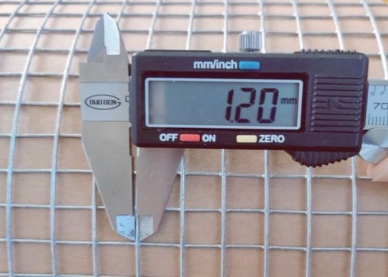 Electro Galvanized Welded Wire Mesh Roll Length 50M For Animal Enclosures