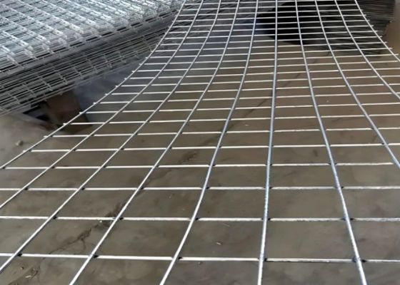 Customizable Durable Hot Dipped Galvanized Welded Wire Mesh Panels