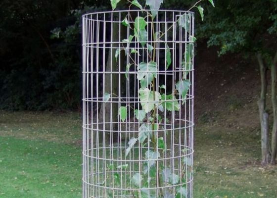 ISO9001 SS304 SS201  Plastic Coated Wire Mesh Panels For Support Of Plants