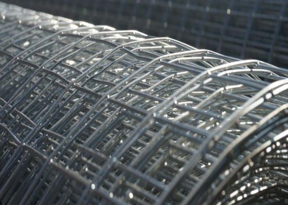 1mm-3mm Hot Dipped Galvanized Welded Wire Mesh Animal Cage Wire Mesh Rustproof