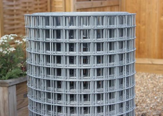 50X50 PVC Coated Abrasion Proof Galvanized Wire Fence Roll Hardware Cloth for Garden and Animal Fences