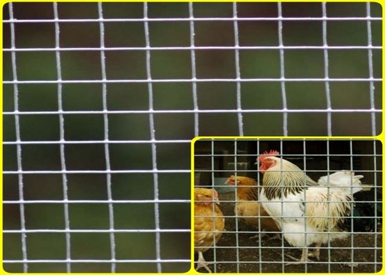 1/2''X 1/2'' Stainless Steel Welded Mesh Rolls For Breeding Protection High Strength