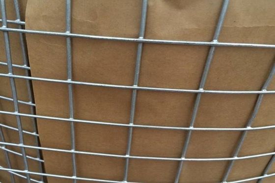 Low Carbon Steel Welded Wire Mesh Panels with Square or Rectangular Hole Shapes and Customizable Wire Diameters