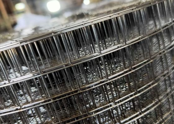 Green Galvanized Welded Mesh Rolls For Concrete Reinforcement
