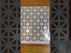 Standard Sizes or Custom Options 304 Perforated Mesh Sheet with Thickness 0.1-12mm